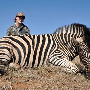 Zebra Hunt South Africa