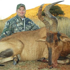 Red Hartebeest Hunting in South Africa