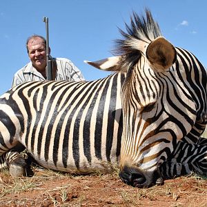 Zebra Hunt South Africa