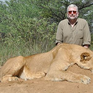 Lioness Hunt South Africa