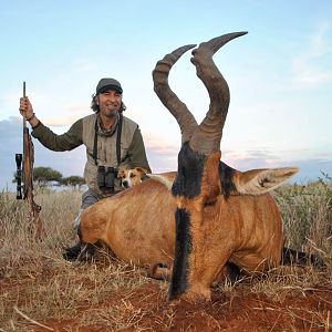 Red Hartebeest Hunting in South Africa