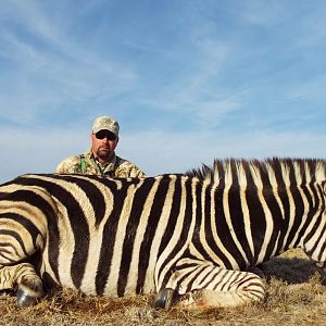 Zebra Hunt South Africa