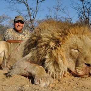 Lion Hunt South Africa