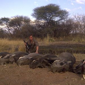 Hunting Warthog in South Africa