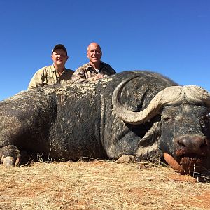 Hunting Buffalo in South Africa