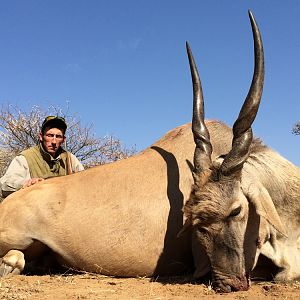 Hunting Eland South Africa