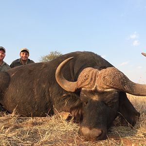 Hunting Buffalo in South Africa