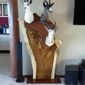 Springbok Combo Pedestal