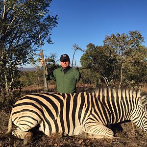 Zebra Hunt South Africa