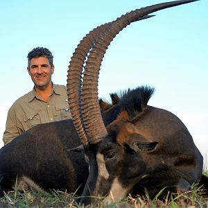 Western Tanzania  Common Sable Hunting