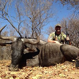 Blue Wildebeest Hunting in South Africa