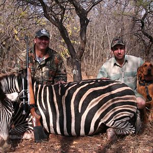 Zebra Hunt South Africa