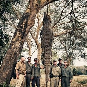 Selous - 14ft Crocodile Hunt