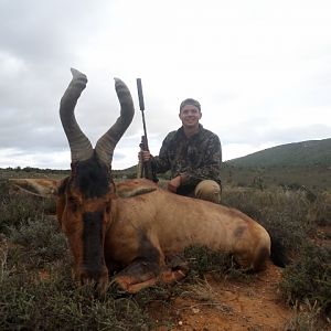 Red Hartebeest Hunting in South Africa