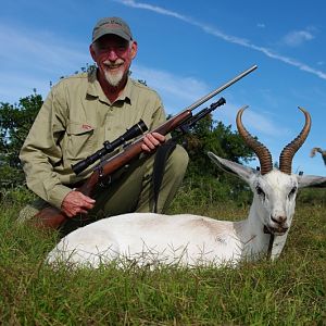 White Springbok Hunt South Africa