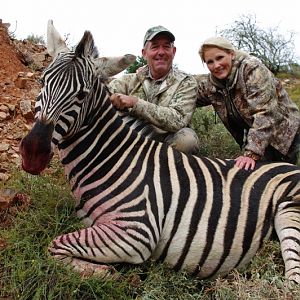 Zebra Hunt South Africa