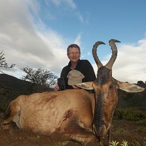 Red Hartebeest Hunting in South Africa