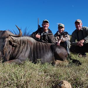 Blue Wildebeest Hunting in South Africa