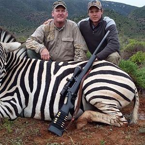 Zebra Hunt South Africa