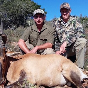 Red Hartebeest Hunting in South Africa