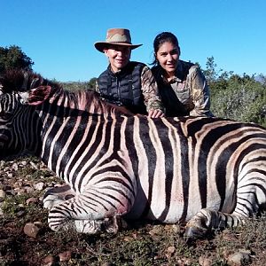 Zebra Hunt South Africa