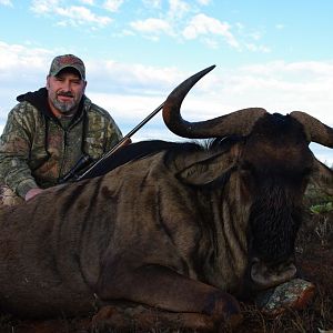 Blue Wildebeest Hunting in South Africa