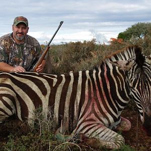 Zebra Hunt South Africa