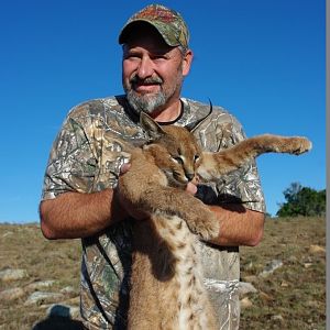 Caracal Hunt South Africa