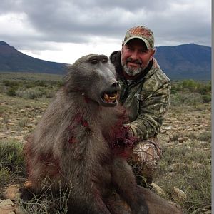 South Africa Baboon Hunt