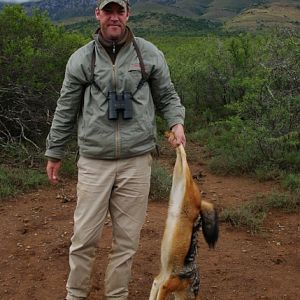 South Africa Jackal Hunting