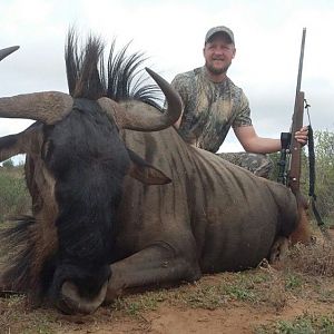 Blue Wildebeest Hunting in South Africa