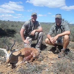 Springbok Hunt South Africa