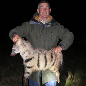 South Africa Aardwolf Hunting