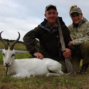 White Springbuck Hunt South Africa