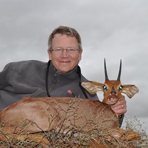 South Africa Steenbok Hunting