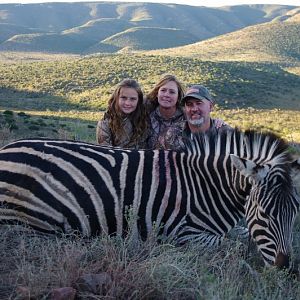 Zebra Hunt South Africa