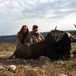 Hunting South Africa Black Wildebeest