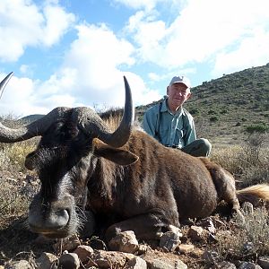 Hunting South Africa Black Wildebeest