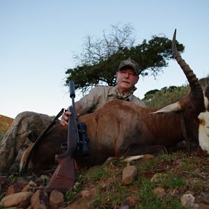 South Africa Blesbok Hunt