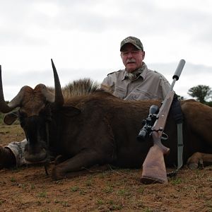 Hunting South Africa Black Wildebeest