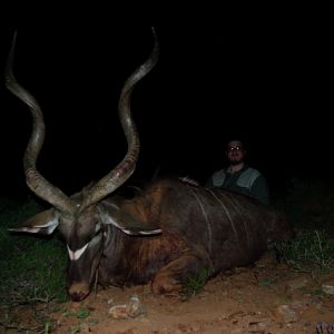 Kudu Hunt in South Africa