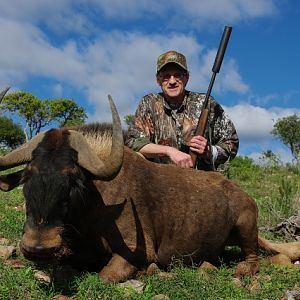 Hunting South Africa Black Wildebeest