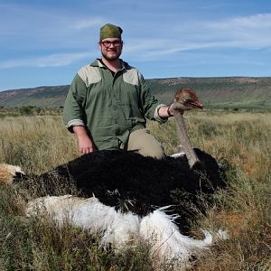 Hunting Ostrich South Africa