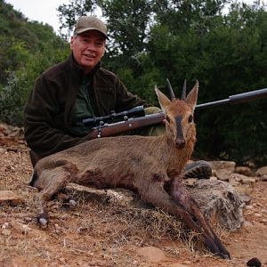 South Africa Red Duiker Hunt