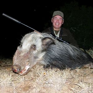 Hunting Bushpig South Africa