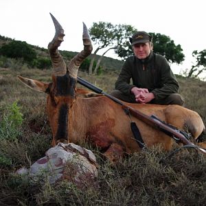 Red Hartebeest Hunting in South Africa