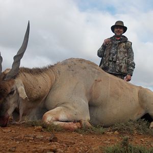 Hunting Eland