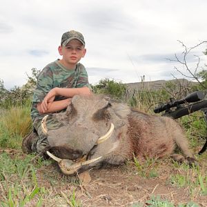 Hunting Warthog