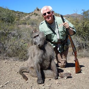 Baboon Hunt