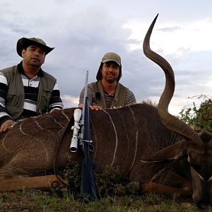 Kudu Hunt